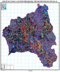 ban-do-qh-3-loai-rung-2025-tam-nhin-2030-gia-lai